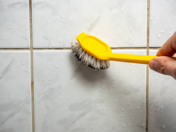 Best Black Mold Removal  in Gallipolis, OH