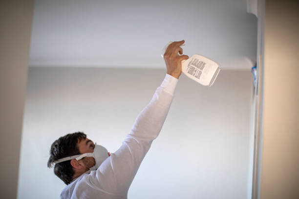 Best Mold Damage Repair  in Gallipolis, OH