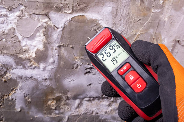 Mold Testing and Removal in Gallipolis, OH