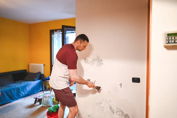 Best Affordable Mold Removal  in Gallipolis, OH